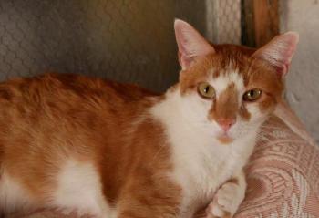 Curro Bild von Curro
