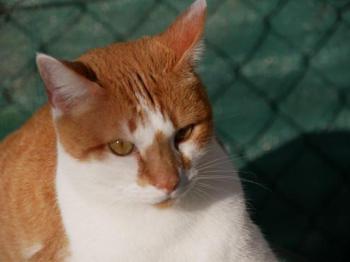 Curro Bild von Curro