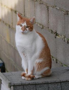 Curro Bild von Curro