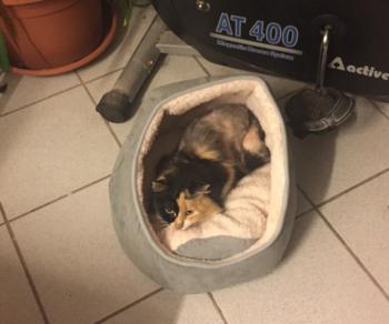 Valentina Bild von Valentina