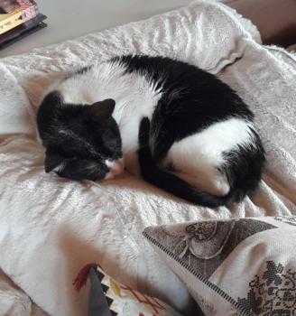 Derek Bild von Derek