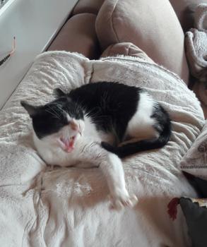 Derek Bild von Derek