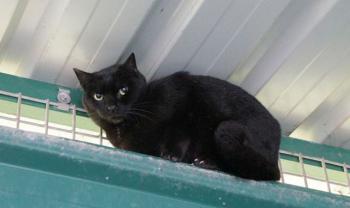 Simon Bild von Simon