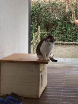 Luca Bild von Luca