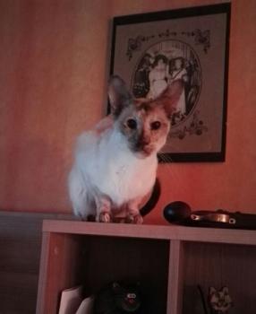 Emilie Bild von Emilie