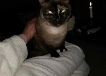 Tina Bild von Tina
