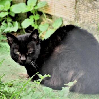 Samy Bild von Samy