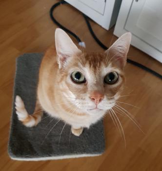 Terry Bild von Terry