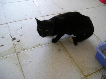 Elani Bild von Elani