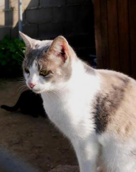 Bild von Myriam