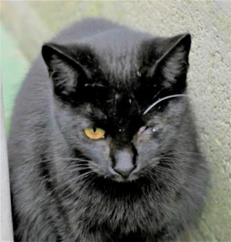 Lulú Bild von Lulú