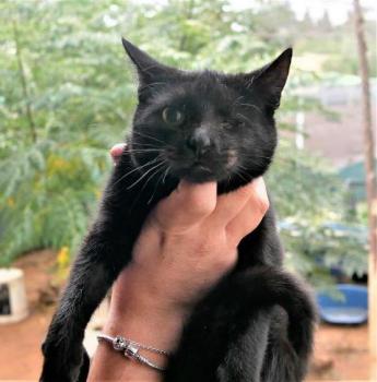 Lulú Bild von Lulú