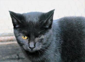 Lulú Bild von Lulú