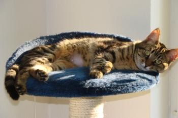 Max Bild von Max