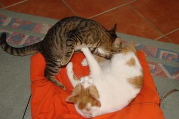 Max Bild von Max
