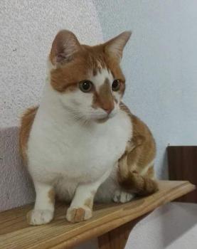 Curro Bild von Curro