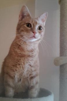 Bild von Yuki