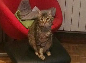 Lenny Bild von Lenny
