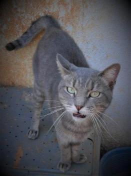 Pablo Bild von Pablo