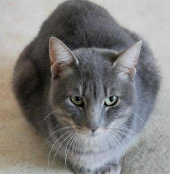 Pablo Bild von Pablo