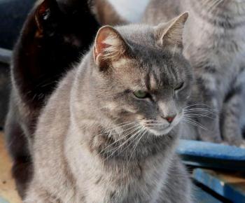 Pablo Bild von Pablo