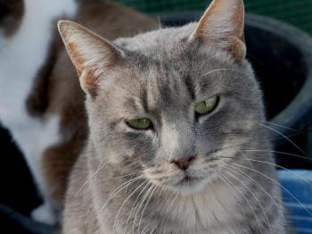 Pablo Bild von Pablo