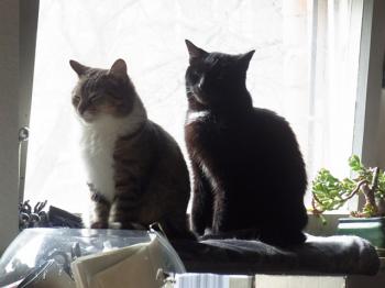 Bild von Sally