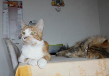 Rubi Bild von Rubi