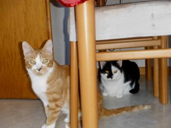 Rubi Bild von Rubi