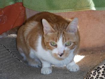 Rubi Bild von Rubi