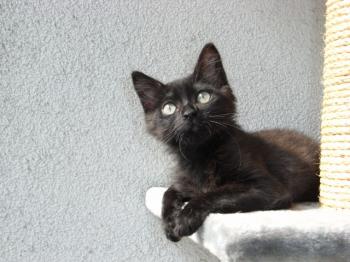 Taina Bild von Peppels