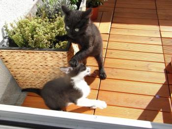 Yari und Taina Bild von Peppels