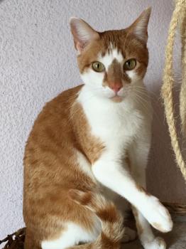 Curro Bild von Curro