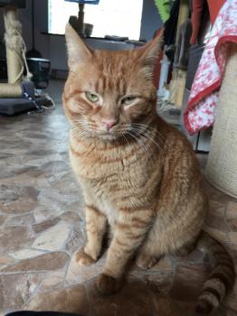 Thor Bild von Thor