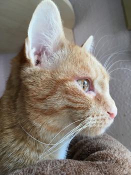 Sonja Bild von Sonja