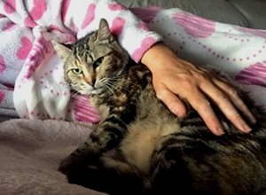 Fiona Bild von Fiona