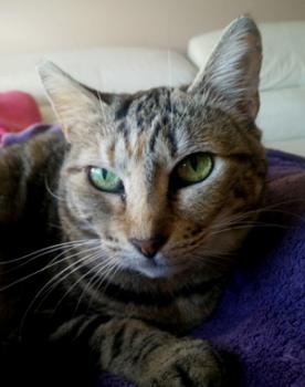 Fiona Bild von Fiona