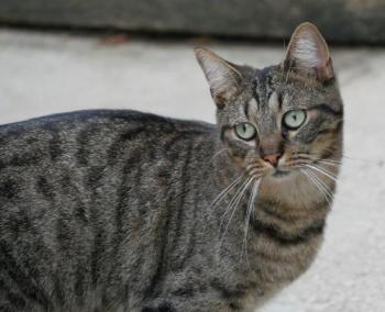 Miika Bild von Miika