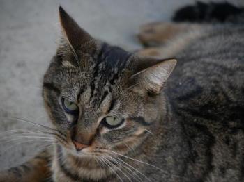 Miika Bild von Miika
