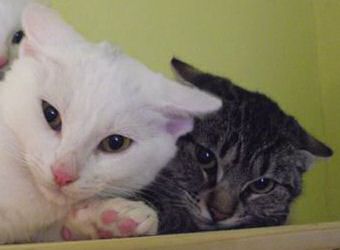 Chiqui und Ginebra Bild von Chiqui