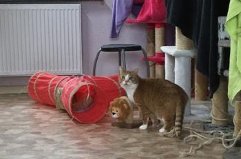 Charly Bild von Charly