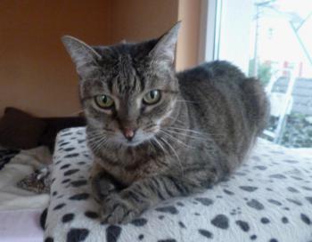Jean Bild von Jean