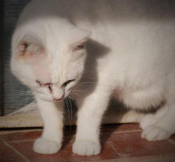 Sascha Bild von Sascha