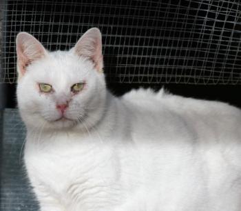 Sascha Bild von Sascha