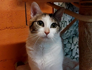 Felicia Bild von Felicia