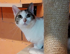 Felicia Bild von Felicia
