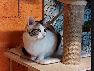 Felicia Bild von Felicia