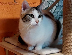 Felicia Bild von Felicia