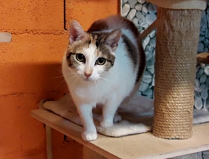 Felicia Bild von Felicia