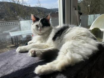 Ashly Bild von Ashly